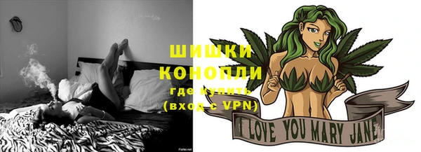 PSILOCYBIN Алзамай