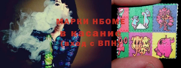 тгк Абаза