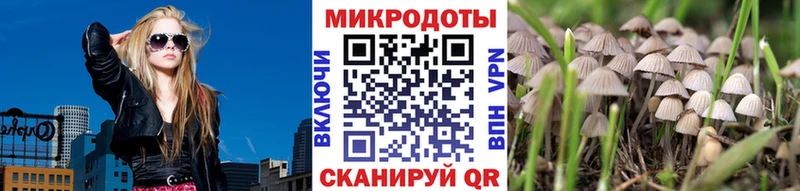 Галлюциногенные грибы мицелий  Артём 